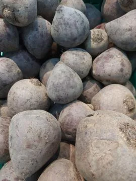 Beetroot. Beetroot on display in a supermarket. Beetroot close-up. Beetroot on Stock Photos