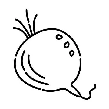 Beetroot black line illustration Illustrazione stock