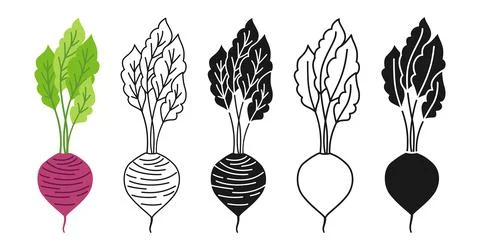 Beetroot cartoon linear icon set doodle style silhouette symbol fresh beet Stock Illustration