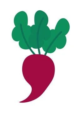 Beetroot element on white background. Summer vegetable. Stock Illustration