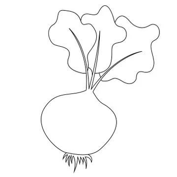 Beetroot flat illustration Stock Illustration