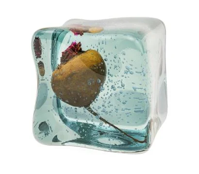 Beetroot frozen in ice cube, 3D rendering Stock Illustration