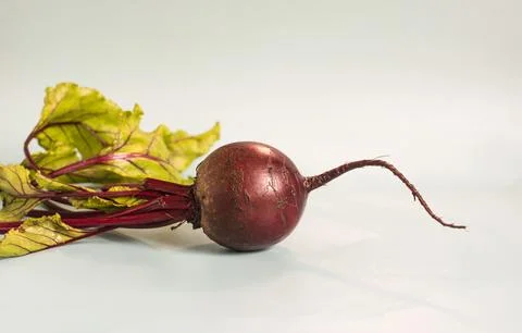 Beetroot with green leaves close-up Stock Photos
