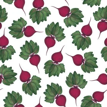 Beetroot with green leaves on a white background. Seamless patterns with vege 스톡 일러스트