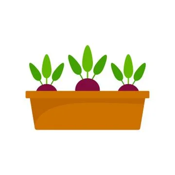 Beetroot in ground pot icon, flat style Stock Illustration