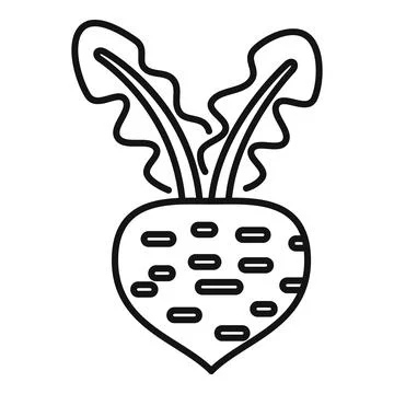 Beetroot growing with leaves in soil for salad icon Stock Illustration