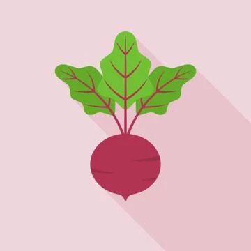 Beetroot icon in flat design with long shadow Stock Illustration