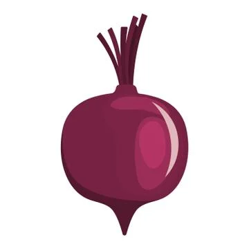 Beetroot  icon Stock Illustration