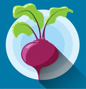 Beetroot icon. Vector icon in modern flat design Stock Illustration