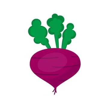 Beetroot Icon White Background Flat Style Print Web Design eps 10 Illustrazione stock