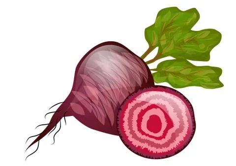 Beetroot Stock Illustration