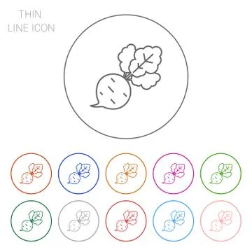 Beetroot 스톡 일러스트