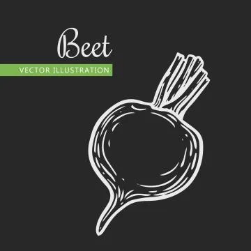 Beetroot Stock Illustration