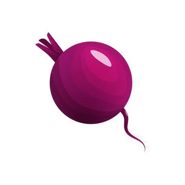 Beetroot Stock Illustration