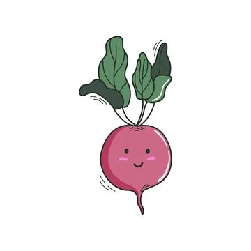 Beetroot Stock Illustration