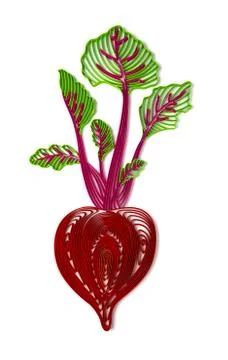 Beetroot illustration Stock Illustration