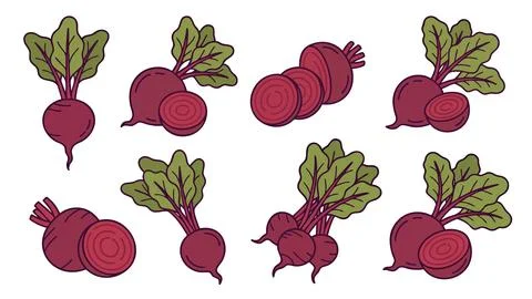 Beetroot Illustration Set Whole and Sliced Illustrazione stock