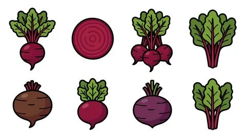 Beetroot Illustration Set Whole Sliced and Leaves Stock Illustration