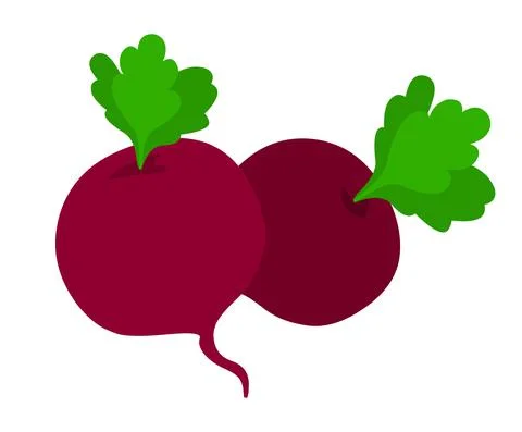 Beetroot illustration vector Stock Illustration