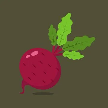 Beetroot isolated on green background. Stock Illustration