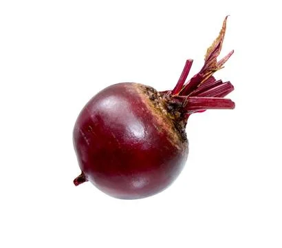 Beetroot isolated Stock Photos