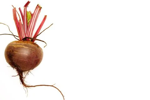 Beetroot isolated on white background with clipping path and full depth of field Stock Photos