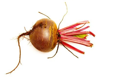 Beetroot isolated on white background with clipping path and full depth of field Stock Photos
