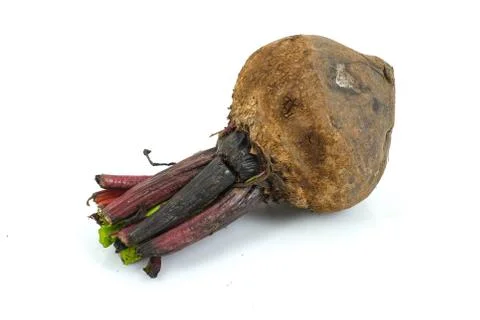 Beetroot isolated on white background Stock Photos