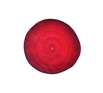 Beetroot isolated on white background Stock Photos
