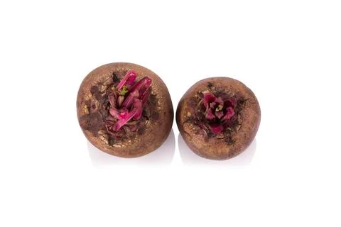 Beetroot isolated on white background Stock Photos