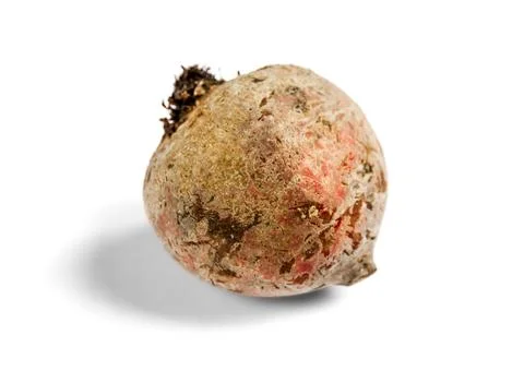 Beetroot isolated on a white background Stock Photos