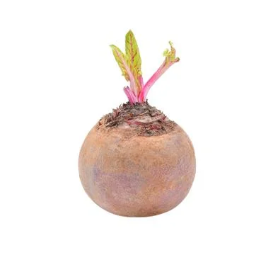 Beetroot isolated on white Foto stock