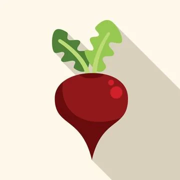 Beetroot with leaves casting a long shadow 스톡 일러스트