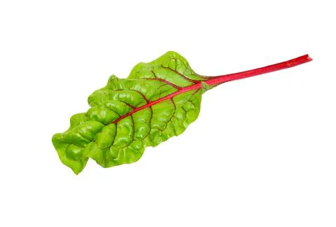 Beetroot leaves, fresh beet leaf isolated Stock Photos