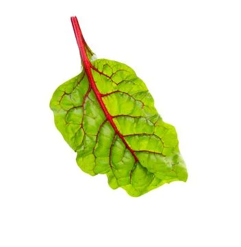 Beetroot leaves, fresh beet leaf isolated Foto stock