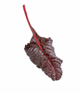 Beetroot leaves, fresh beet leaf Stock Photos