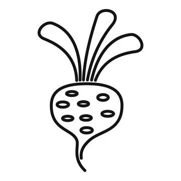 Beetroot with leaves growing on white background Stock Illustration