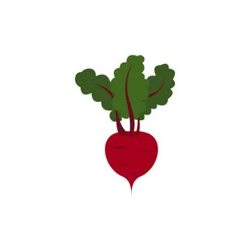 Beetroot with leaves icon, flat style Stock Illustration