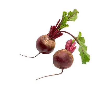 Beetroot with leaves isolated on white Stock Photos