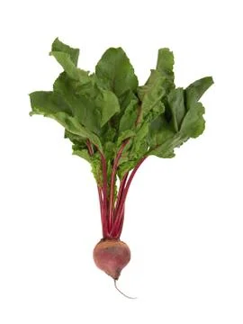 Beetroot with leaves Stock Photos