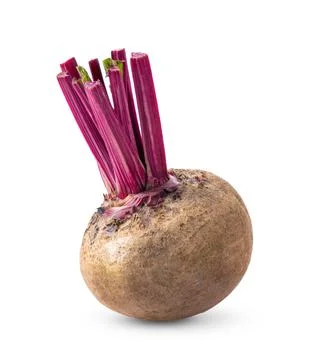 Beetroot with leaves on white background Stock Photos