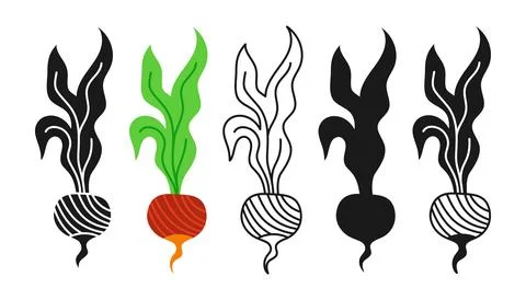 Beetroot linear icon cartoon symbol set food silhouette shape doodle red beet Stock Illustration