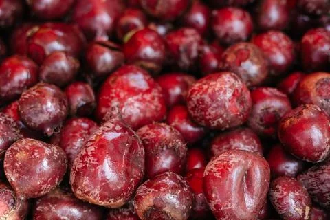 Beetroot on the market counter Stock Photos