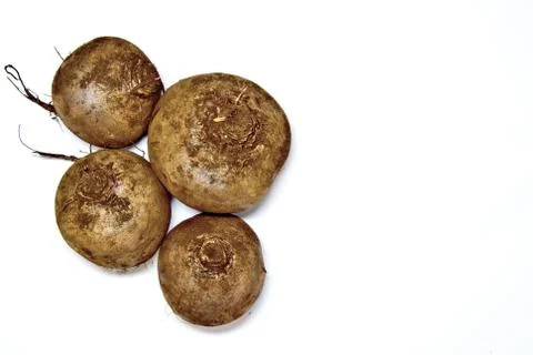 Beetroot is not cleaned fresh on a white background Stock Photos