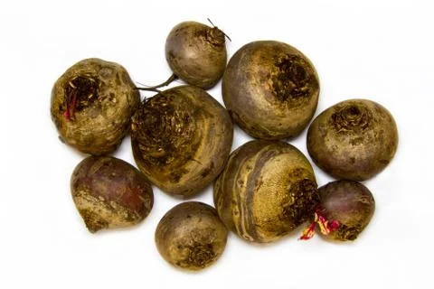 Beetroot is not cleaned fresh on a white background Stock Photos