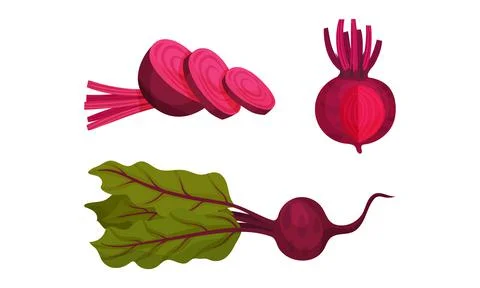 Beetroot or Red Beet with Top Leaves Vector Set Stock Illustration