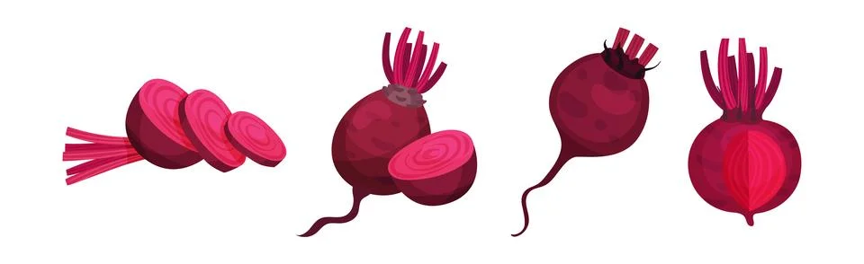 Beetroot or Red Beet Whole and Sliced Crop Vector Set Illustrazione stock