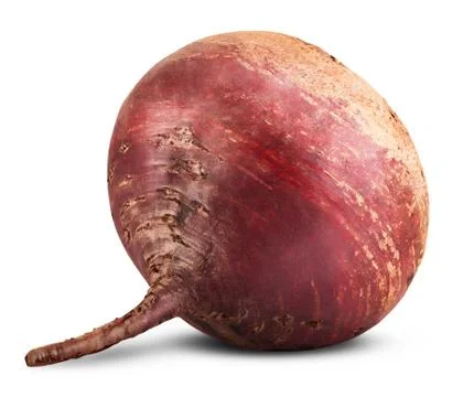 Beetroot Stock Photos