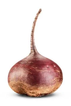 Beetroot Foto stock
