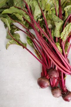 Beetroot Stock Photos